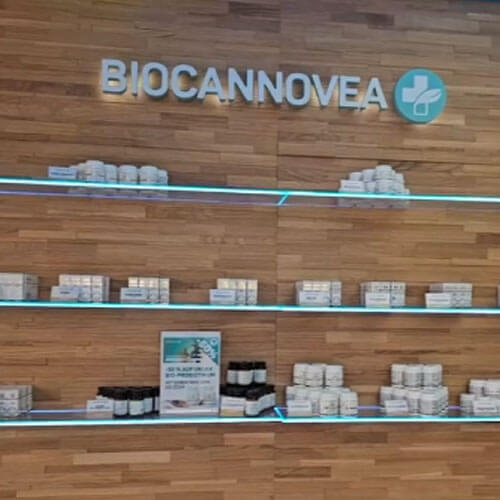 Portfolio-Video: Social-Media Reel